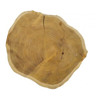 Large Round Teak Slices