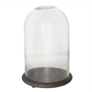 Large Cloche with Wood Base