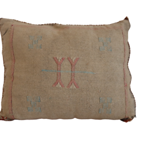 Cactus silk Aztec Pattern Rectangle Pillow