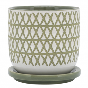 Diamond Olive Planter with Saucer