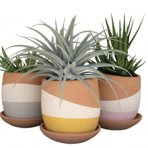 Color Dipped Clay Pot with Saucer - Pink