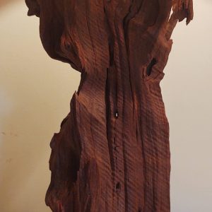 Large Driftwood Table Lamp