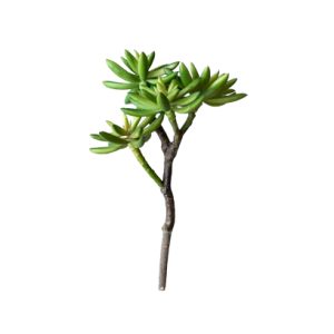 Faux Succulent Stem