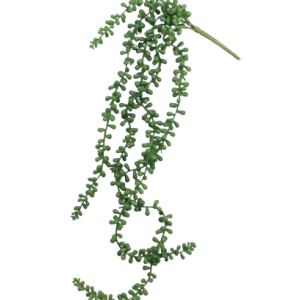 Faux Fern Succulent